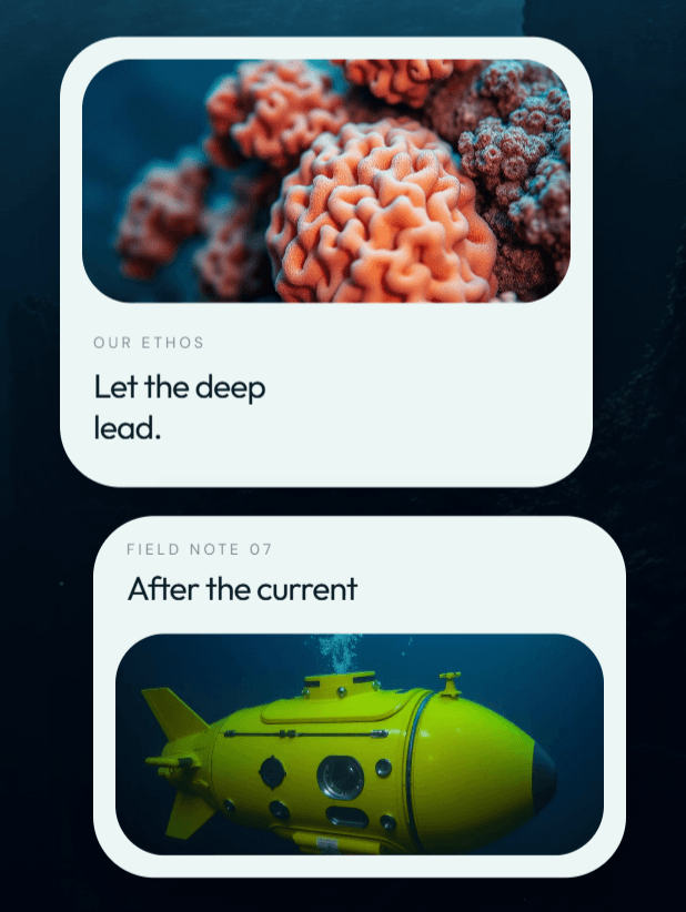 Deepoceans Landing page